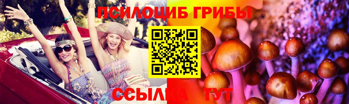 Находка  хочу   Псилоцибиновые грибы Psilocybine cubensis  Вход с VPN  Псилоцибиновые грибы GOLDEN TEACHER 